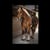 Horse ad