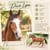 Horse ad