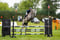 Horse ad