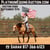 Horse ad