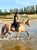 Anuncio de caballos
