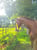 Anuncio de caballos