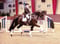 Horse ad