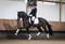 Annonce cheval