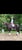 Annuncio cavallo