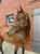 Horse ad
