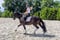 Annuncio cavallo