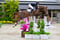 Annuncio cavallo