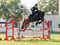 Annuncio cavallo