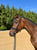 Horse ad