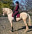 Annuncio cavallo