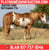 Horse ad