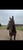 Horse ad
