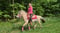 Horse ad