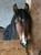 Horse ad