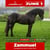 Paardadvertentie