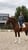 Horse ad
