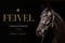Horse ad