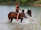 Horse ad