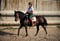 Annuncio cavallo