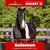 Horse ad