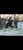 Paardadvertentie