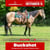 Paardadvertentie