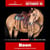 Paardadvertentie
