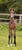 Horse ad