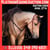 Horse ad