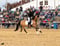 Horse ad