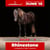 Annuncio cavallo