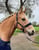 Horse ad