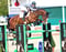 Horse ad