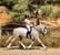 Horse ad