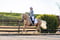 Annuncio cavallo