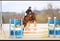 Annuncio cavallo