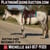 Horse ad