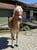 Annuncio cavallo