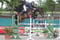 Horse ad