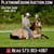 Horse ad