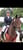 Annuncio cavallo