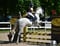 Annonce cheval