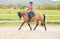 Horse ad