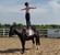 Horse ad