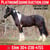 Horse ad