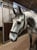 Annuncio cavallo