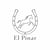 Annonce cheval