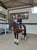 Horse ad