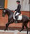Horse ad